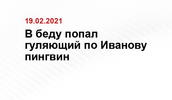 скриншот с видео