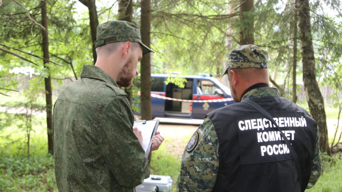 СК возбудил уголовное дело после обнаружения в лесу Ивановской области тела женщины СУ СК России по Ивановской области