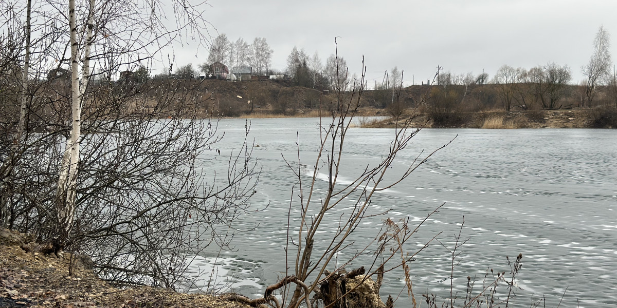 В Ивановской области спасали вмерзшего в лед лебедя редакции