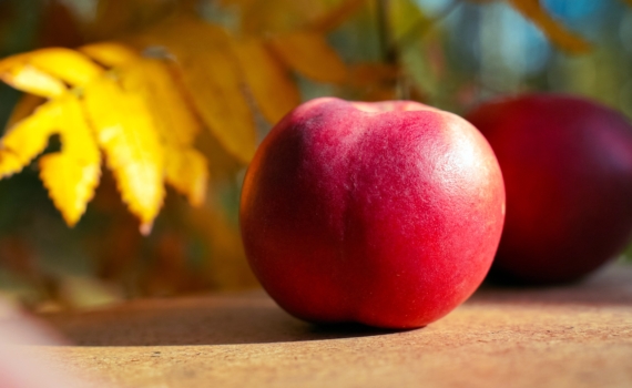 Магия палитры: почему в ноябре-2025 зелёный может вам навредить — цвета-проводники и цвета-ловушки