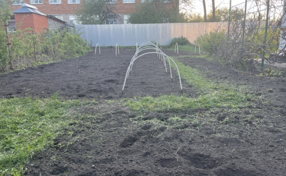 Посыпьте грядки мукой зимой — соберете крупный урожай летом: простой способ для богатого урожая Посыпьте грядки мукой зимой — соберете крупный урожай летом: простой способ для богатого урожая